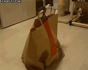 Mcdonalds GIF by Cheezburger - Find & Share on GIPHY