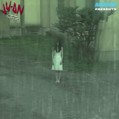 The Grudge Horror GIF by Arrow Video
