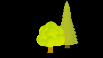 merikinbynature GIF