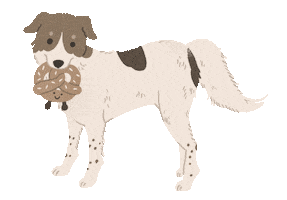 Animated Sticker