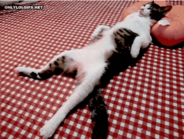 relaxed pillow GIF