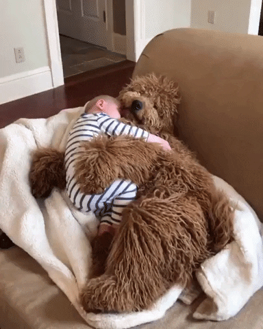Big Dog GIF by MOODMAN - Find & Share on GIPHY