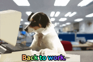 Working Dog Monday GIF by Justin