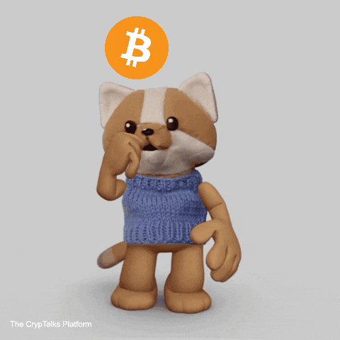 Crypto Bitcoin GIF by CrypTalks