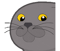 Animated Sticker