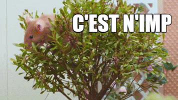 Cut Nimporte Quoi GIF by CANAL+