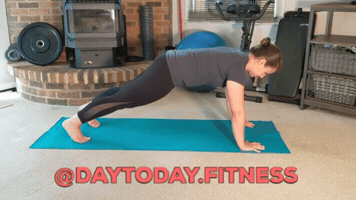 Planks GIF