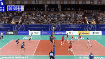Power Celebrate GIF by Volleyball World