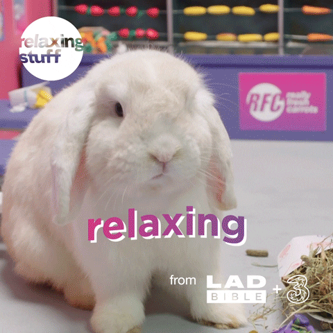 Bunny Eating GIF by Relaxing Stuff
