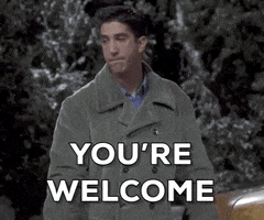 Season 3 Youre Welcome GIF by Friends