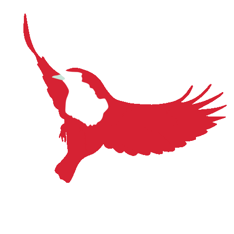 Red Robin Sticker
