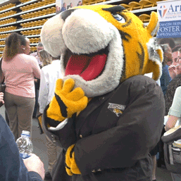 College Graduation GIF by Towson University