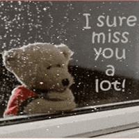 Omg Baby I Love You So Much Gifs Get The Best Gif On Giphy Omg Baby I Love You So Much Gifs Get The Best Gif On Giphy