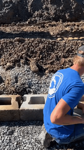 Construction Workers Level GIF by JC Property Professionals