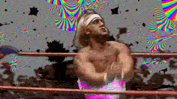 Hulk Hogan Wwe GIF by The NGB