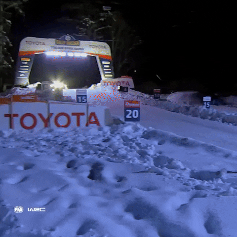 Jumping Ford GIF by FIA World Rally Championship