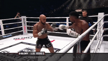Fight See GIF by GLORY Kickboxing