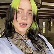giphy.gif