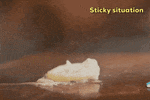 100.gif?cid=20e14a2a92j7hh7j079cirtgc6j99jchdc8b2wbj8paqbiu6&rid=100.gif&ct=g