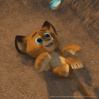 Young Lion GIFs - Get the best GIF on GIPHY