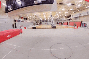 High Jump GIF by MSUM Dragons