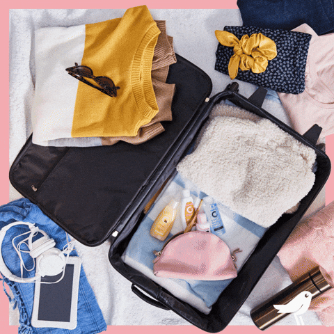 Auchan France travel trip case suitcase GIF