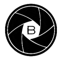 Bear Cinema Rentals Sticker