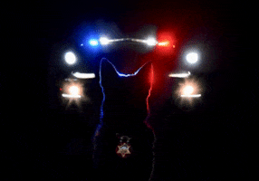 German Shepherd Police GIF by VCDSA911