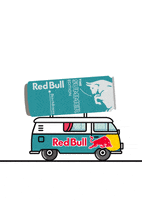 Summer Beach GIF by Red Bull