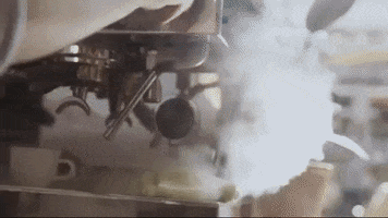 GIF by Humans of XS Manchester