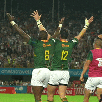 Happy South Africa GIF by World Rugby