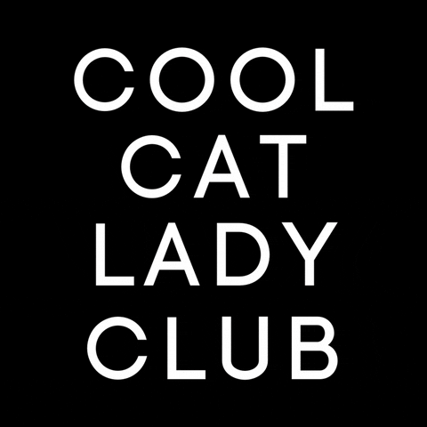 Cats Kitten GIF by Cool Cat Lady Club