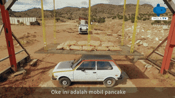 Car Show GIF by Mola TV Kids