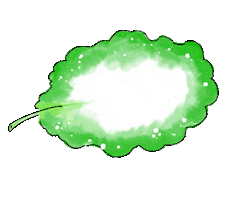 Kale Thank You Sticker by Kyusai