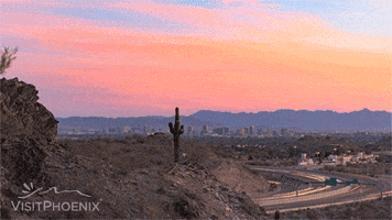 VisitPhoenix sunset cactus desert arizona GIF