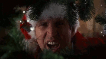 Christmas vacation gif - find & share on giphy