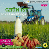 GrueneLippetal GIF