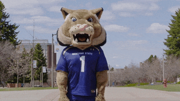 Shame Reaction GIF by Montana State University