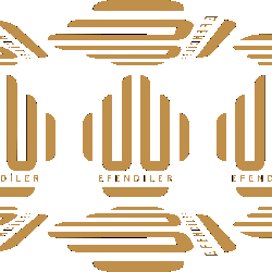 Azerbaijan Sticker by Efendiler Group