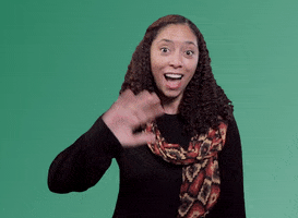 200.gif?cid=fc005b08a01f3b16de2a6528e73c15c5702d02beb185d796&rid=200.gif&ct=g