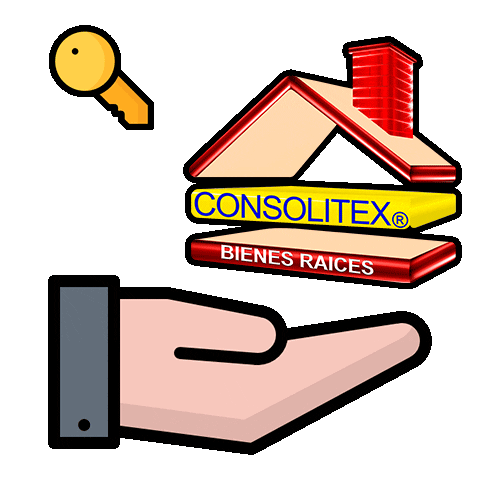 Consolitex Bienes Raices Sticker