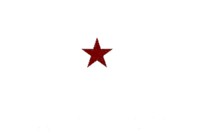 New York City Logo Sticker by Hill Country