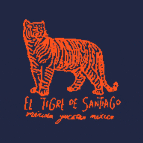 El Tigre Travelers GIF by El Tigre De Santiago