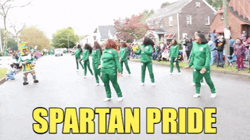 Nsu Behold The Green And Gold GIF by Norfolk State University