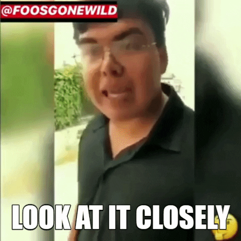 Look At It Closely GIF