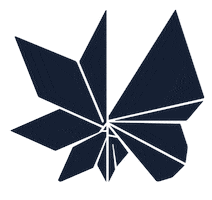Butterfly Sticker by mimycri