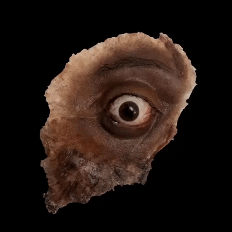 Trinidad James GIF