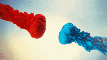 SherwinWilliansEcuador GIF