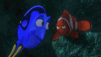 happy finding nemo GIF by Disney Pixar