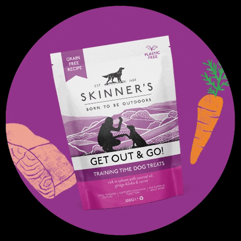Get Out And Go GIF by Skinner's